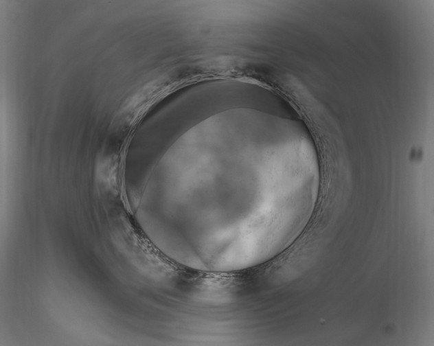 X0000115610720200912011551