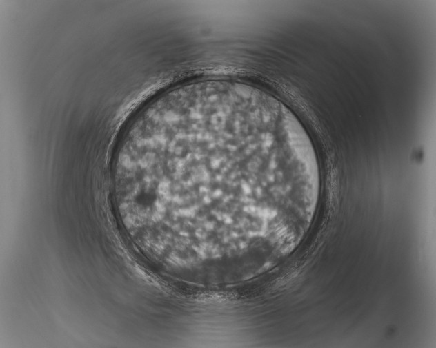 X0000115610721200912011550