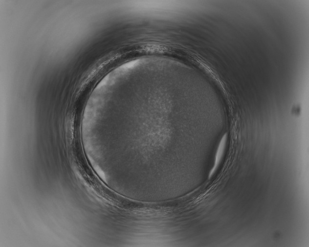 X0000115610722200912011550