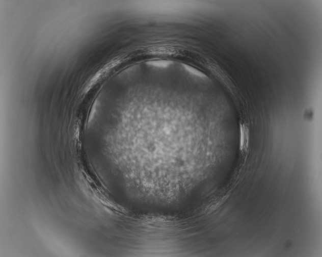X0000115610723200912011550
