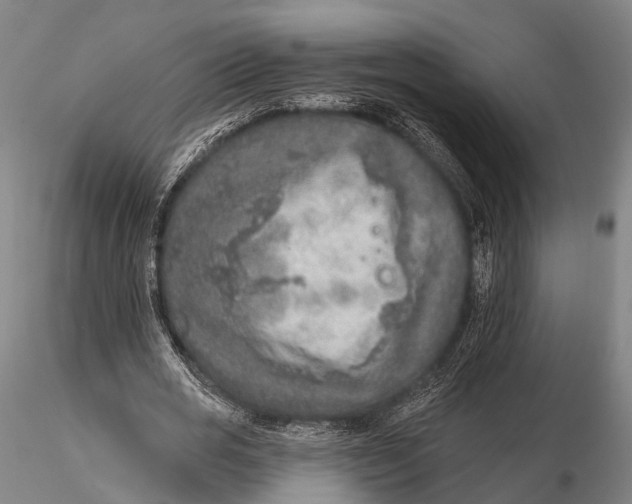 X0000115610725200912011550