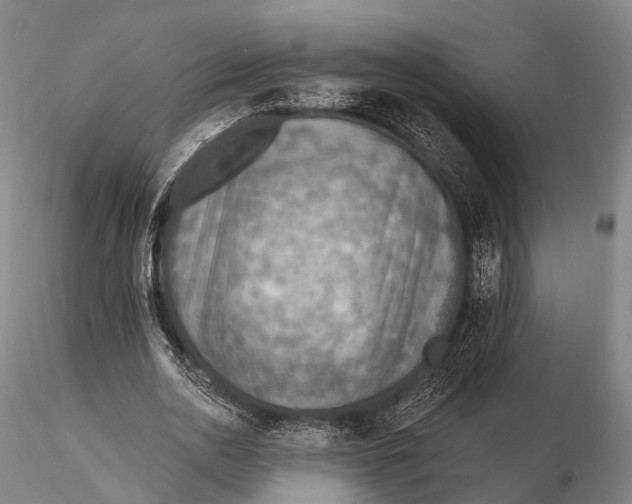 X0000115610726200912011550
