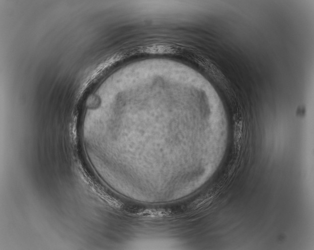 X0000115610727200912011550