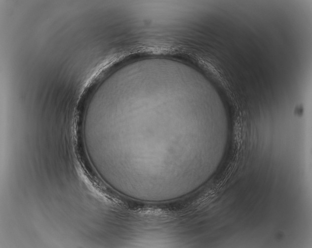 X0000115610730200912011550