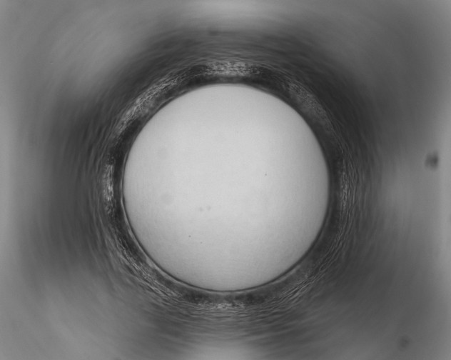 X0000115610731200912011550