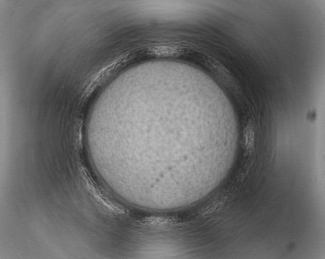 X0000115610733200912011550
