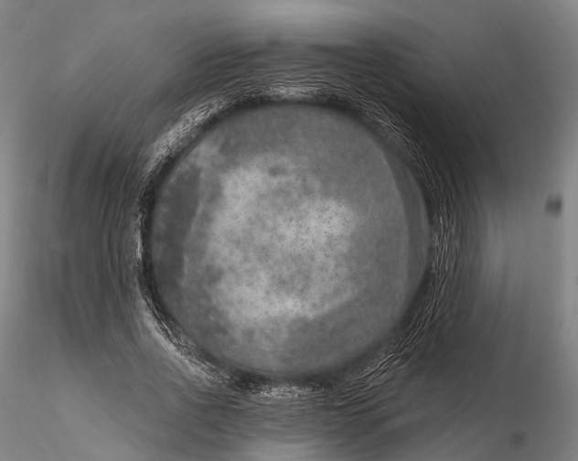X0000115610734200912011550