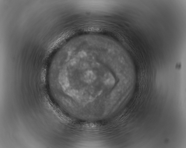 X0000115610735200912011550