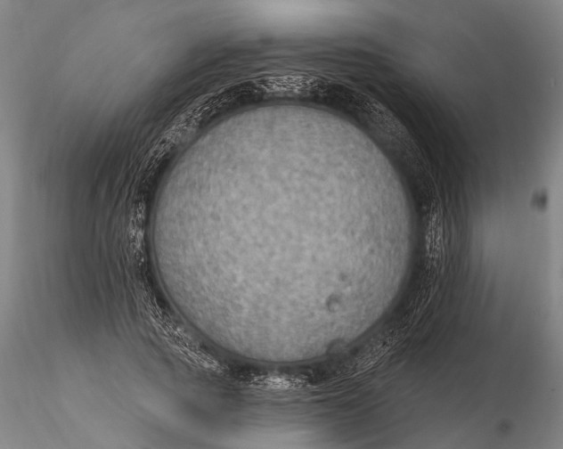 X0000115610737200912011550