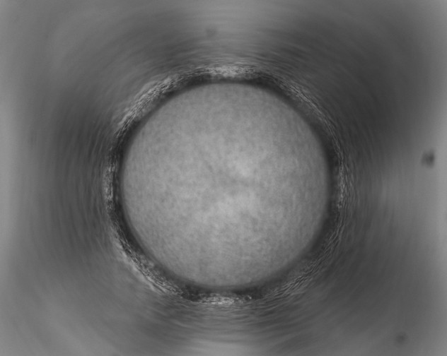 X0000115610738200912011550