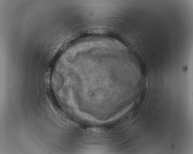 X0000115610739200912011550