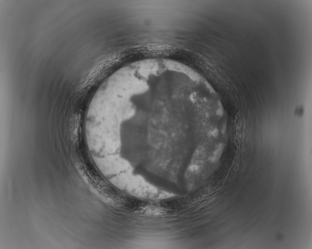 X0000115610742200912011550