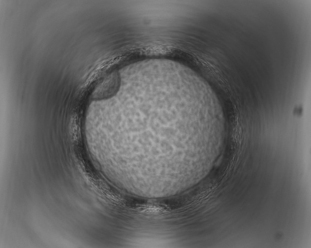X0000115610743200912011550