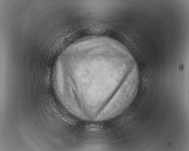 X0000115610745200912011550