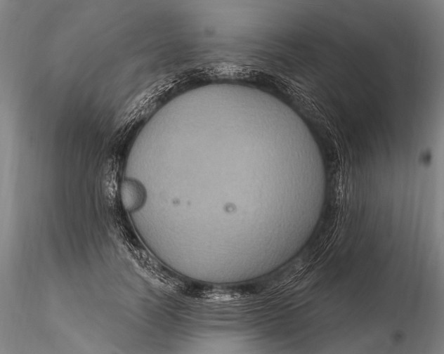 X0000115610746200912011550