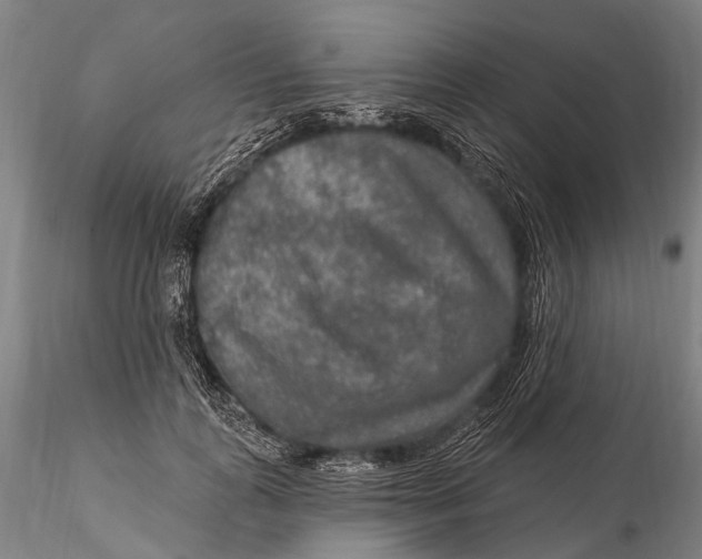 X0000115610747200912011551
