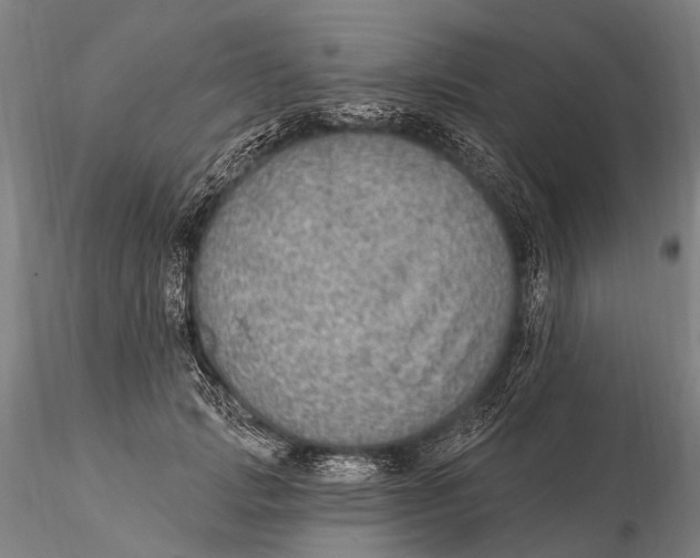 X0000115610749200912011551