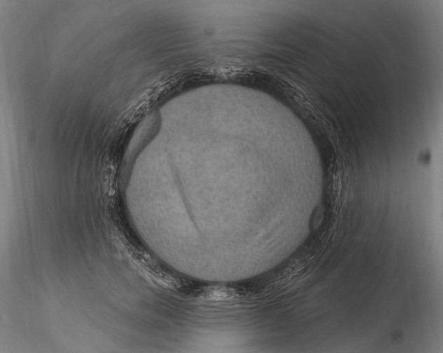 X0000115610750200912011551