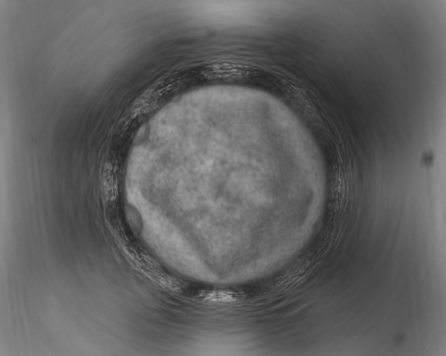 X0000115610751200912011551