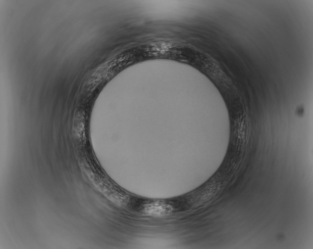 X0000115610754200912011551