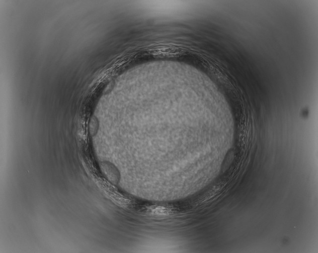 X0000115610755200912011551