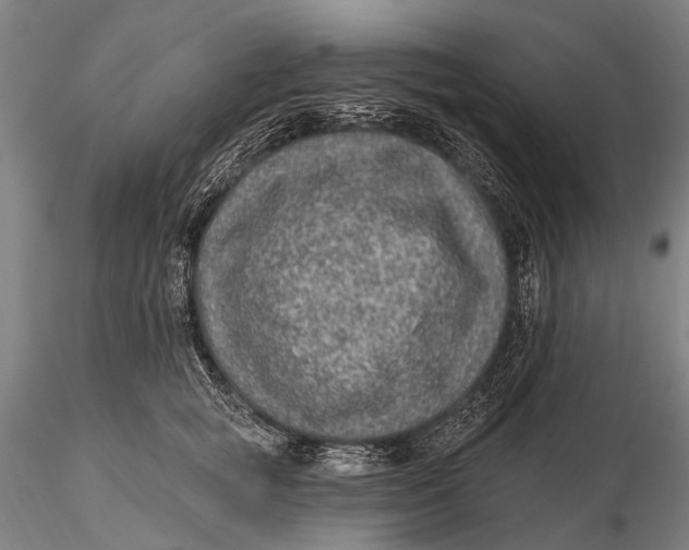X0000115610757200912011551