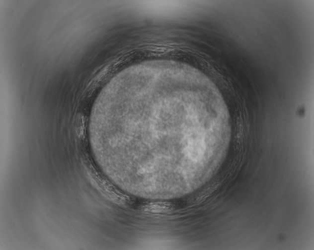 X0000115610758200912011551