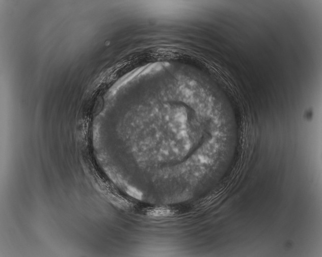 X0000115610759200912011551