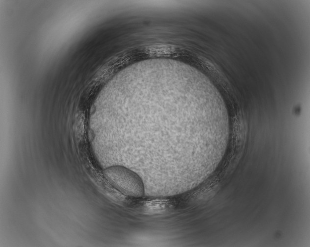 X0000115610761200912011551