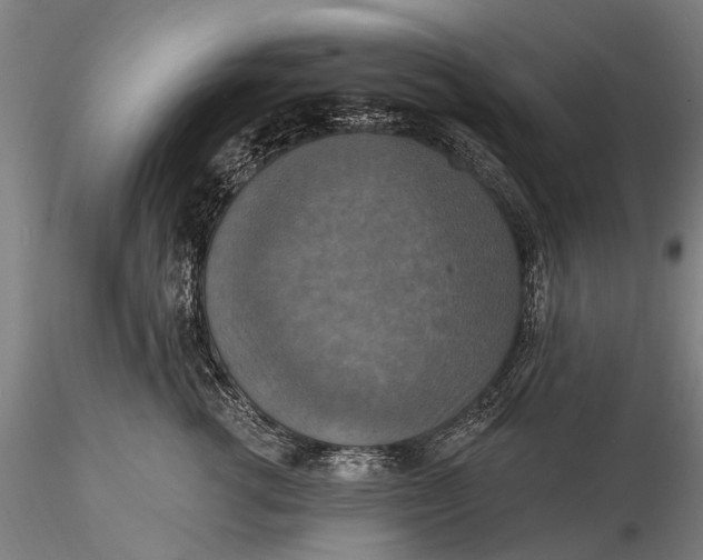 X0000115610762200912011551