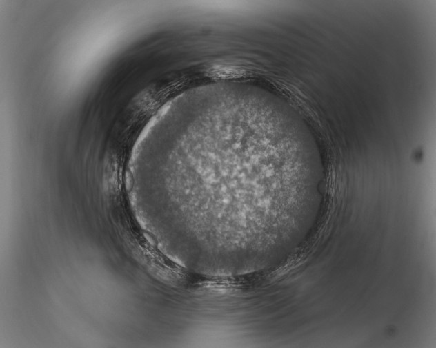 X0000115610763200912011551