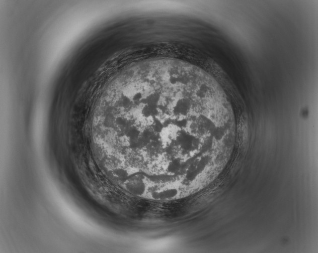 X0000115610765200912011551