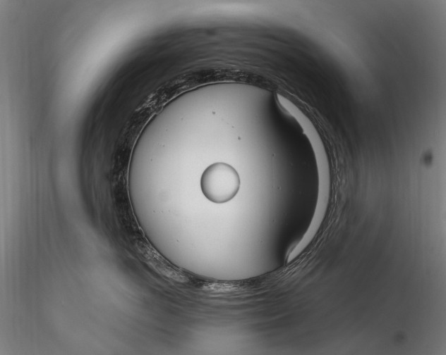 X0000115610766200912011551