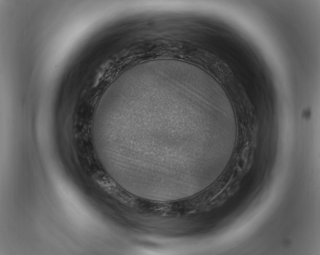X0000115610767200912011551
