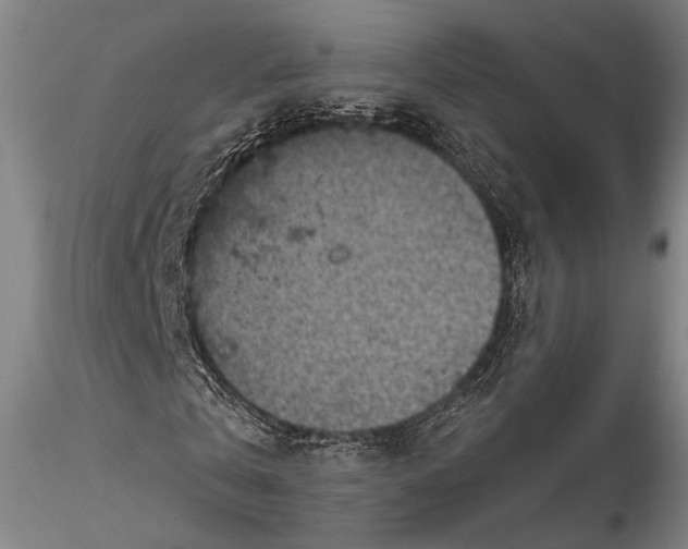 X0000115610769200912011550