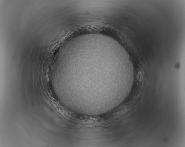 X0000115610772200912011550