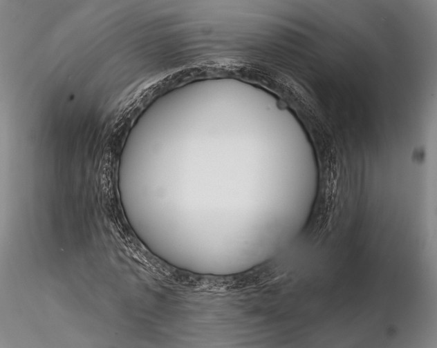 X0000115610773200912011550