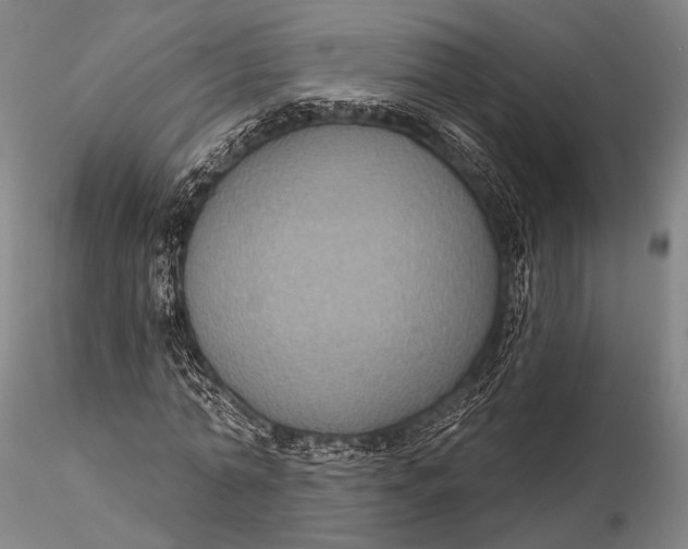 X0000115610774200912011550