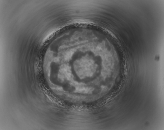 X0000115610775200912011550