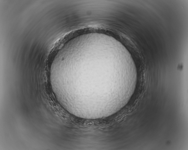 X0000115610776200912011550