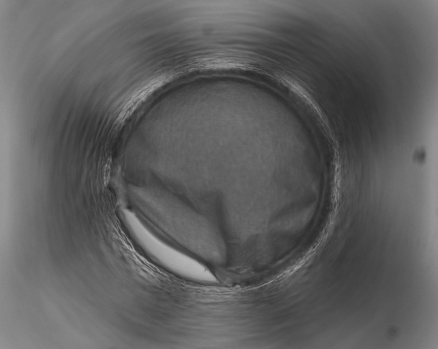 X0000115610777200912011550