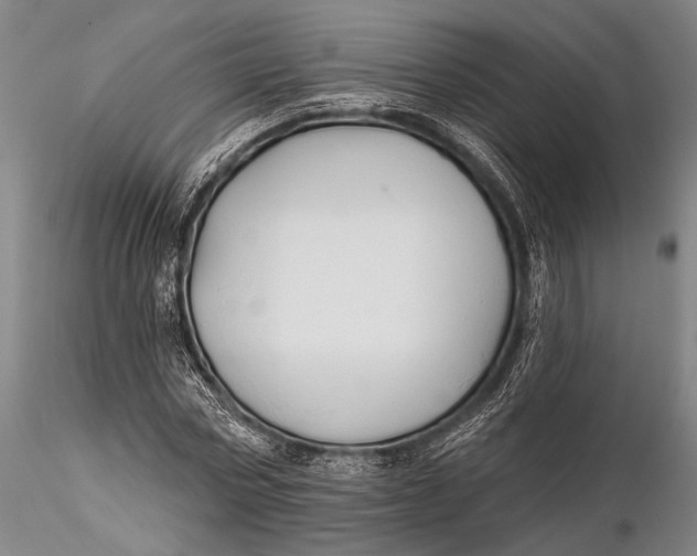 X0000115610778200912011550