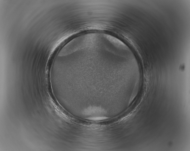 X0000115610779200912011550