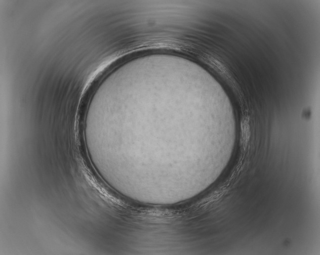 X0000115610780200912011550