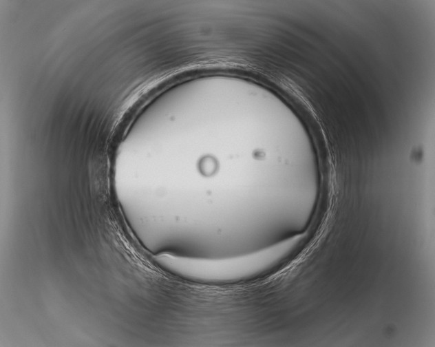 X0000115610781200912011550
