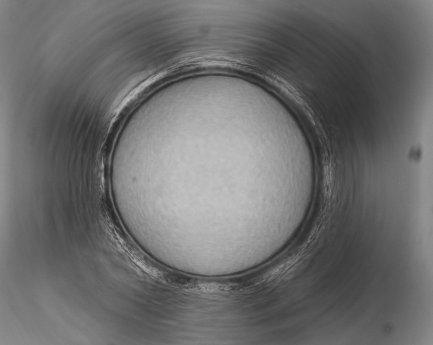 X0000115610782200912011550