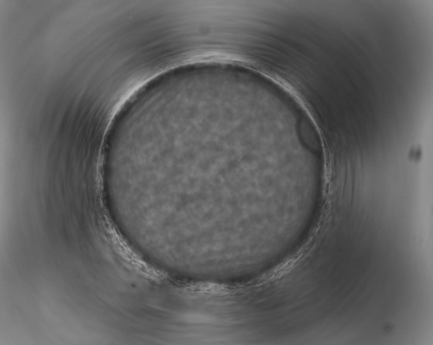 X0000115610783200912011550