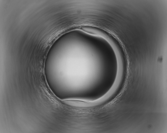 X0000115610785200912011550