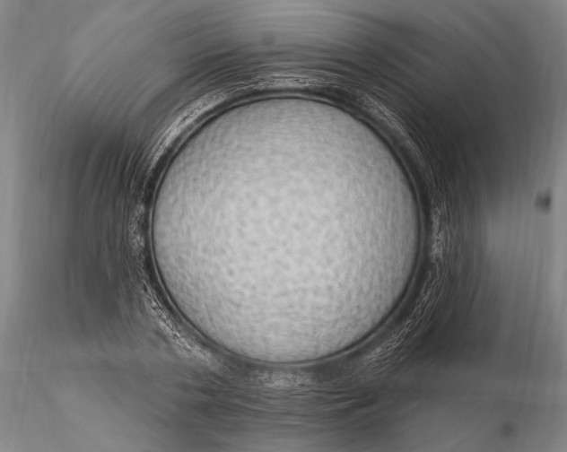 X0000115610786200912011550