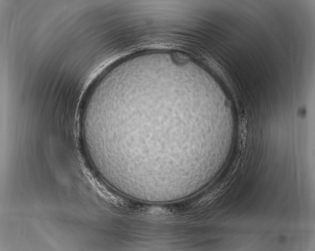 X0000115610787200912011550